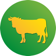 ferma-bydla