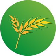 produkcja-roslinna
